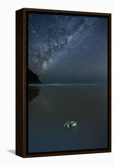 The Milky Way Above a Crab on a Beach-Alex Saberi-Framed Premier Image Canvas