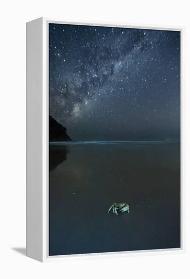 The Milky Way Above a Crab on a Beach-Alex Saberi-Framed Premier Image Canvas