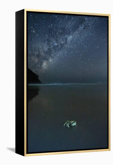 The Milky Way Above a Crab on a Beach-Alex Saberi-Framed Premier Image Canvas