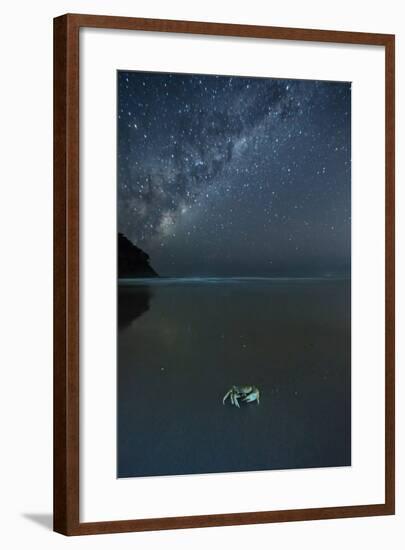 The Milky Way Above a Crab on a Beach-Alex Saberi-Framed Photographic Print