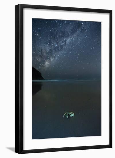 The Milky Way Above a Crab on a Beach-Alex Saberi-Framed Photographic Print