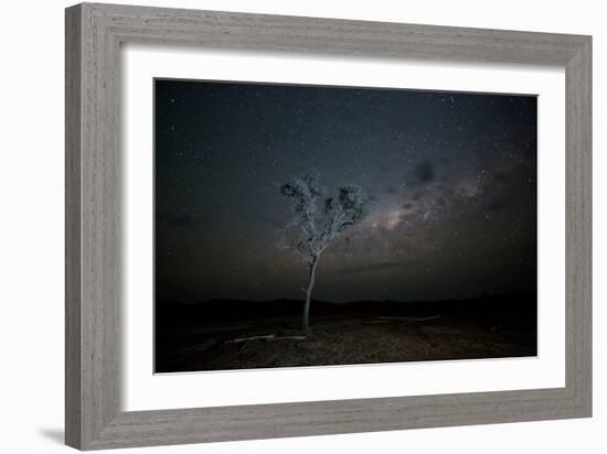 The Milky Way Above a Tree at Night Namib-Naukluft National Park-Alex Saberi-Framed Photographic Print