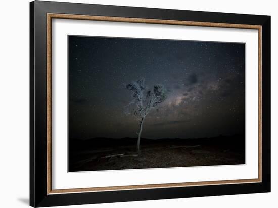 The Milky Way Above a Tree at Night Namib-Naukluft National Park-Alex Saberi-Framed Photographic Print