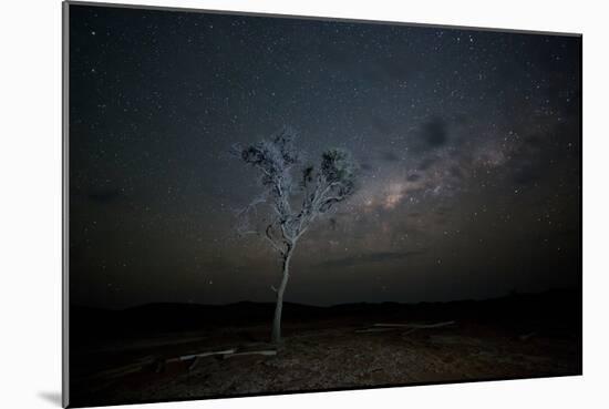 The Milky Way Above a Tree at Night Namib-Naukluft National Park-Alex Saberi-Mounted Photographic Print