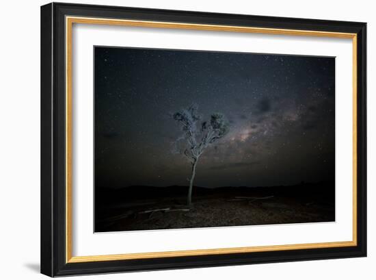 The Milky Way Above a Tree at Night Namib-Naukluft National Park-Alex Saberi-Framed Photographic Print