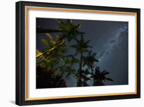 The Milky Way Above the Atlantic Rainforest Jungle and Palm Trees-Alex Saberi-Framed Photographic Print