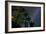 The Milky Way Above the Atlantic Rainforest Jungle and Palm Trees-Alex Saberi-Framed Photographic Print