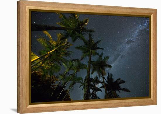 The Milky Way Above the Atlantic Rainforest Jungle and Palm Trees-Alex Saberi-Framed Premier Image Canvas