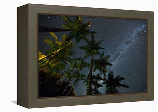 The Milky Way Above the Atlantic Rainforest Jungle and Palm Trees-Alex Saberi-Framed Premier Image Canvas