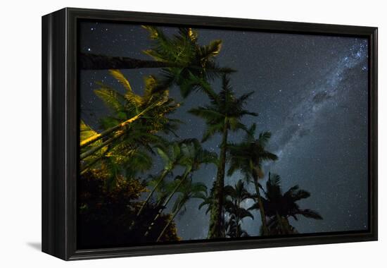 The Milky Way Above the Atlantic Rainforest Jungle and Palm Trees-Alex Saberi-Framed Premier Image Canvas