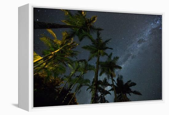The Milky Way Above the Atlantic Rainforest Jungle and Palm Trees-Alex Saberi-Framed Premier Image Canvas