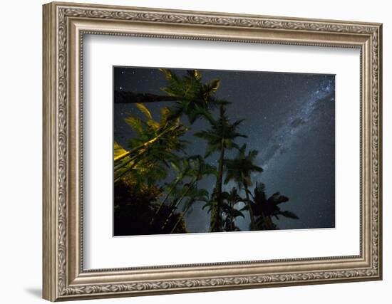 The Milky Way Above the Atlantic Rainforest Jungle and Palm Trees-Alex Saberi-Framed Photographic Print