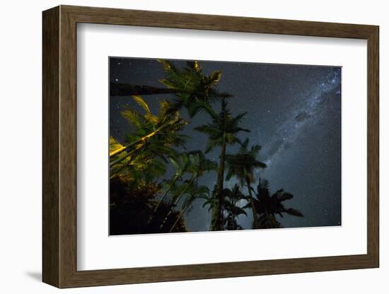 The Milky Way Above the Atlantic Rainforest Jungle and Palm Trees-Alex Saberi-Framed Photographic Print