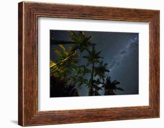 The Milky Way Above the Atlantic Rainforest Jungle and Palm Trees-Alex Saberi-Framed Photographic Print