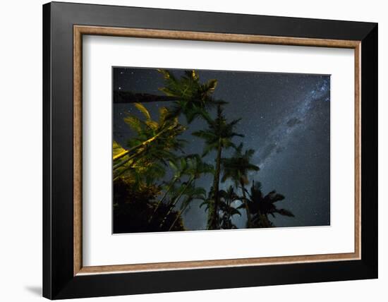 The Milky Way Above the Atlantic Rainforest Jungle and Palm Trees-Alex Saberi-Framed Photographic Print