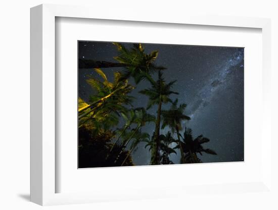 The Milky Way Above the Atlantic Rainforest Jungle and Palm Trees-Alex Saberi-Framed Photographic Print