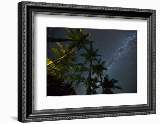 The Milky Way Above the Atlantic Rainforest Jungle and Palm Trees-Alex Saberi-Framed Photographic Print