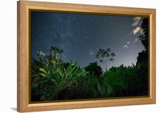 The Milky Way Above the Ubatuba Jungle at Night-Alex Saberi-Framed Premier Image Canvas