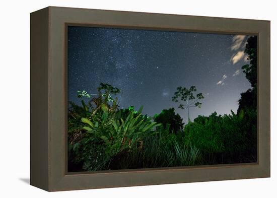 The Milky Way Above the Ubatuba Jungle at Night-Alex Saberi-Framed Premier Image Canvas