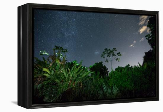 The Milky Way Above the Ubatuba Jungle at Night-Alex Saberi-Framed Premier Image Canvas