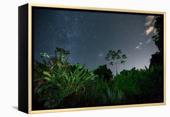 The Milky Way Above the Ubatuba Jungle at Night-Alex Saberi-Framed Premier Image Canvas