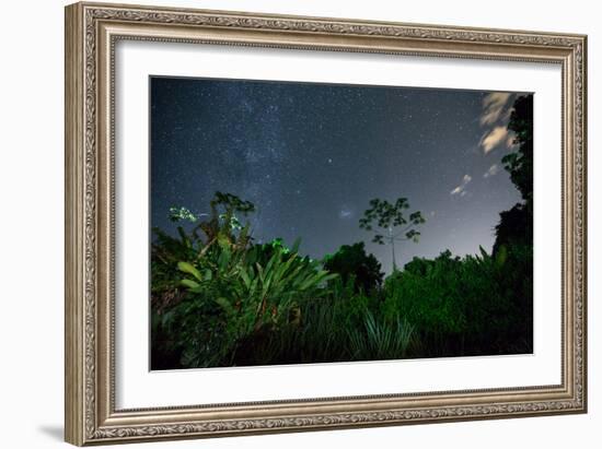 The Milky Way Above the Ubatuba Jungle at Night-Alex Saberi-Framed Photographic Print