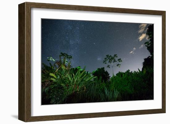 The Milky Way Above the Ubatuba Jungle at Night-Alex Saberi-Framed Photographic Print