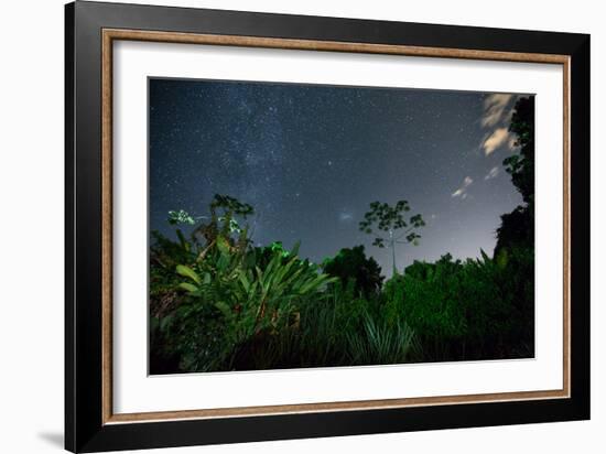 The Milky Way Above the Ubatuba Jungle at Night-Alex Saberi-Framed Photographic Print