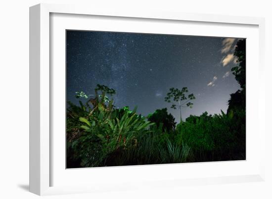 The Milky Way Above the Ubatuba Jungle at Night-Alex Saberi-Framed Photographic Print