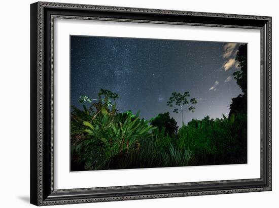 The Milky Way Above the Ubatuba Jungle at Night-Alex Saberi-Framed Photographic Print