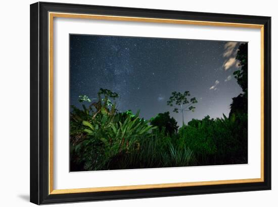 The Milky Way Above the Ubatuba Jungle at Night-Alex Saberi-Framed Photographic Print