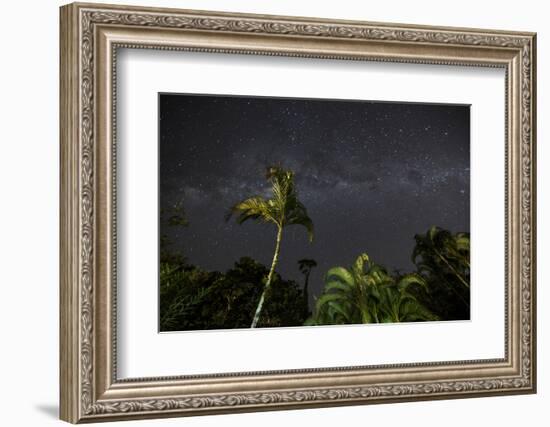 The Milky Way Above Tropical Trees and Foliage of the Atlantic Rainforest, at Night-Alex Saberi-Framed Photographic Print