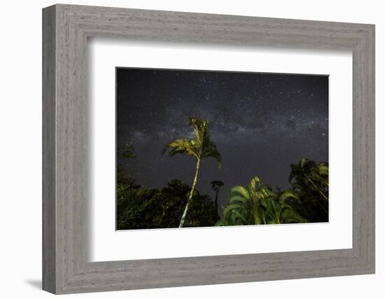 The Milky Way Above Tropical Trees and Foliage of the Atlantic Rainforest, at Night-Alex Saberi-Framed Photographic Print