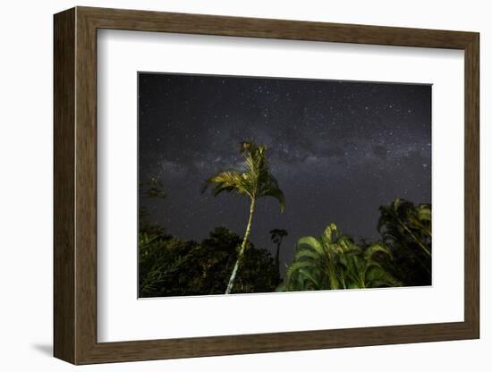 The Milky Way Above Tropical Trees and Foliage of the Atlantic Rainforest, at Night-Alex Saberi-Framed Photographic Print