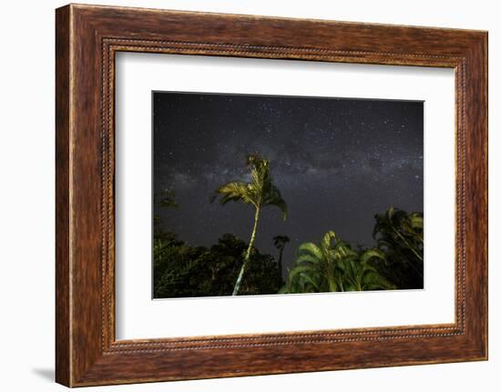 The Milky Way Above Tropical Trees and Foliage of the Atlantic Rainforest, at Night-Alex Saberi-Framed Photographic Print