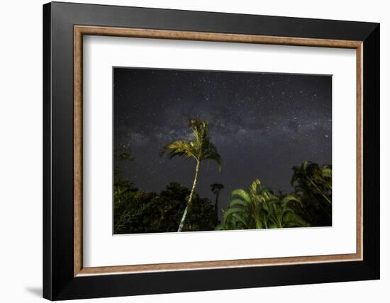 The Milky Way Above Tropical Trees and Foliage of the Atlantic Rainforest, at Night-Alex Saberi-Framed Photographic Print