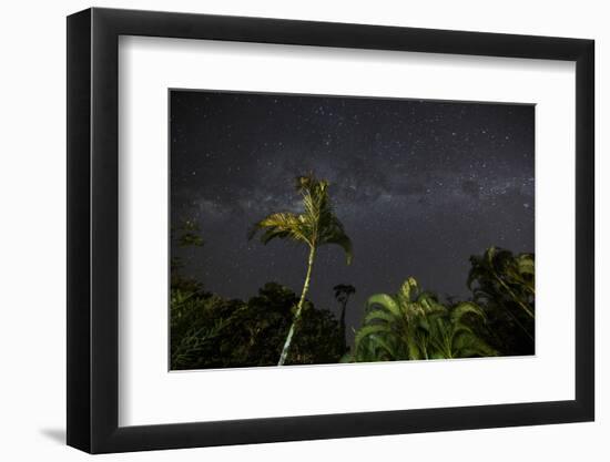 The Milky Way Above Tropical Trees and Foliage of the Atlantic Rainforest, at Night-Alex Saberi-Framed Photographic Print