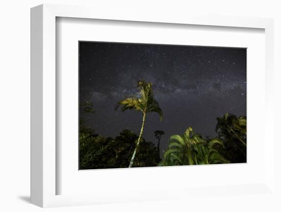 The Milky Way Above Tropical Trees and Foliage of the Atlantic Rainforest, at Night-Alex Saberi-Framed Photographic Print