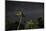 The Milky Way Above Tropical Trees and Foliage of the Atlantic Rainforest, at Night-Alex Saberi-Mounted Photographic Print