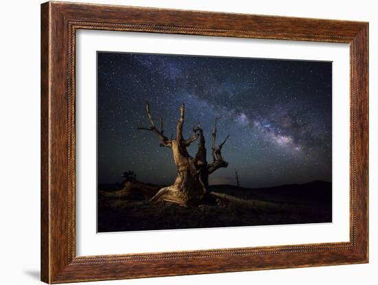 The Milky Way and a Dead Bristlecone Pine Tree in the White Mountains, California-null-Framed Photographic Print