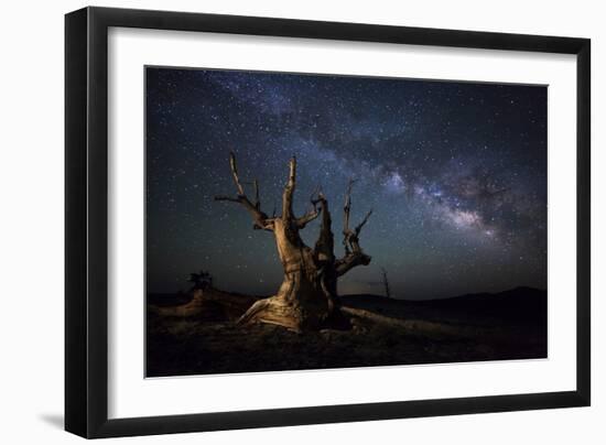 The Milky Way and a Dead Bristlecone Pine Tree in the White Mountains, California-null-Framed Photographic Print