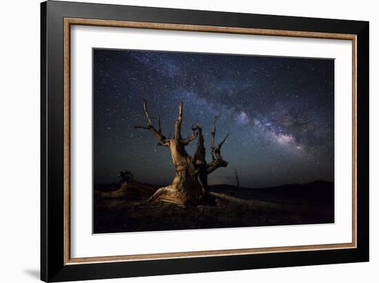 The Milky Way and a Dead Bristlecone Pine Tree in the White Mountains, California-null-Framed Photographic Print