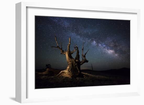 The Milky Way and a Dead Bristlecone Pine Tree in the White Mountains, California-null-Framed Photographic Print