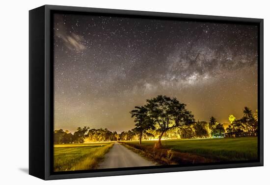The Milky Way and the Tree Stand Alone and Road-a aizat-Framed Premier Image Canvas