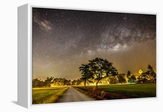 The Milky Way and the Tree Stand Alone and Road-a aizat-Framed Premier Image Canvas