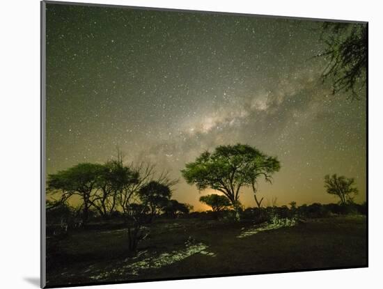 The milky way over acacia trees at night in the Okavango Delta, Botswana-Michael Nolan-Mounted Photographic Print