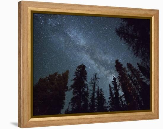 The Milky Way Shines Above the Forest in the San Juan Mountains of Southern Colorado.-Ryan Wright-Framed Premier Image Canvas