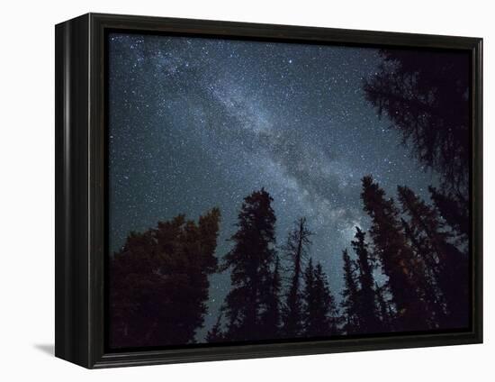 The Milky Way Shines Above the Forest in the San Juan Mountains of Southern Colorado.-Ryan Wright-Framed Premier Image Canvas