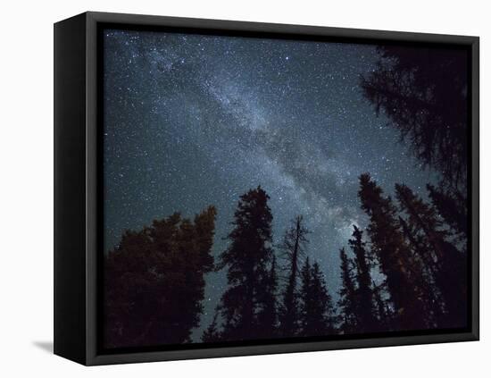 The Milky Way Shines Above the Forest in the San Juan Mountains of Southern Colorado.-Ryan Wright-Framed Premier Image Canvas
