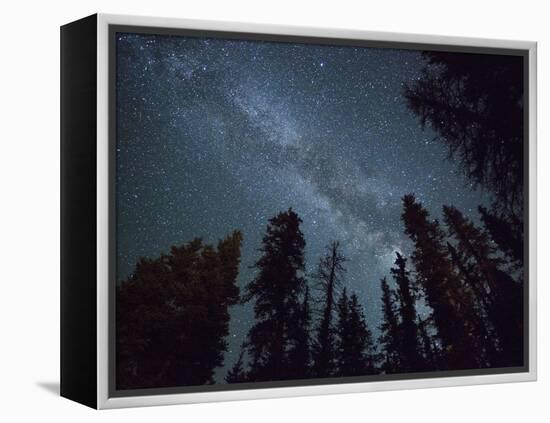 The Milky Way Shines Above the Forest in the San Juan Mountains of Southern Colorado.-Ryan Wright-Framed Premier Image Canvas